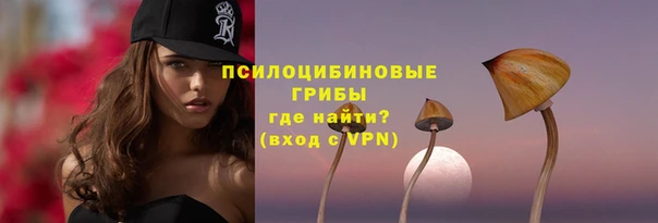 спиды Аркадак